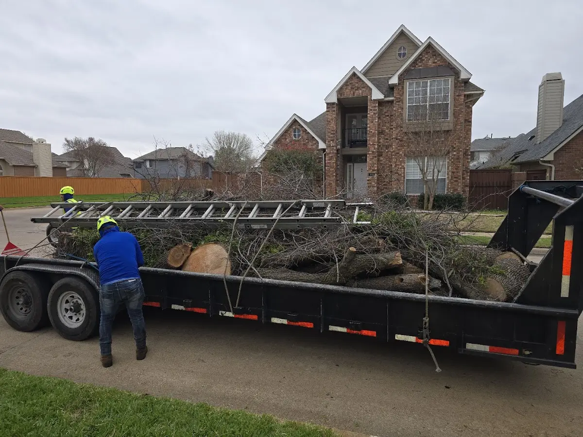 Expert Lot Clearing with proper safety equipment in Sycamore